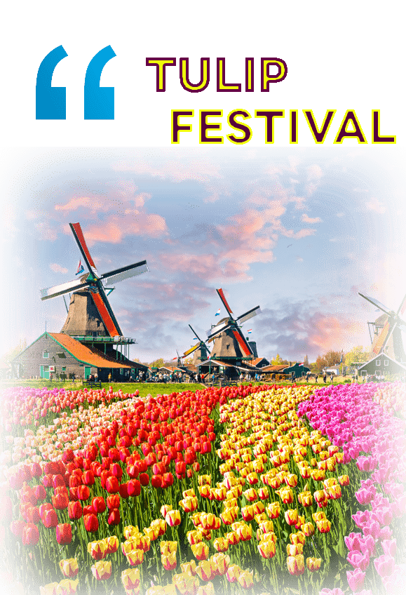 Europe Tours - Tulip Festival 
