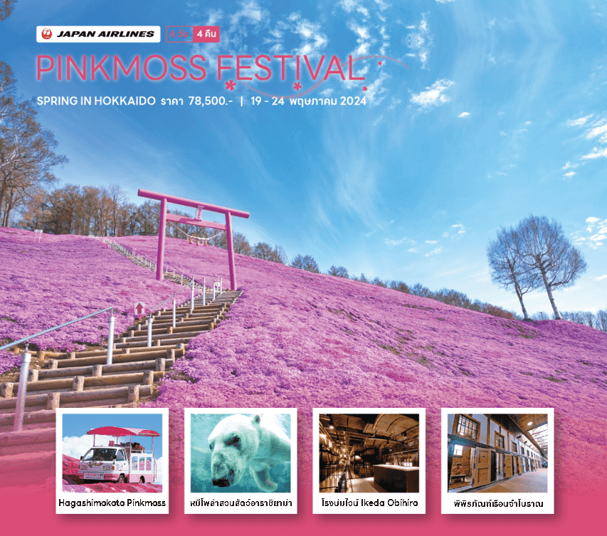 ทัวร์ญี่ปุ่น HOKKAIDO PINKMOSS FESTIVAL จัดเต็มทุกกิจกรรมไฮไลท์ ช้อปปิ้งสะดวก อาหารญี่ปุ่นเลิศรส พัก4ดาว บินตรง JAPAN AIRLINE FULL SERVICE