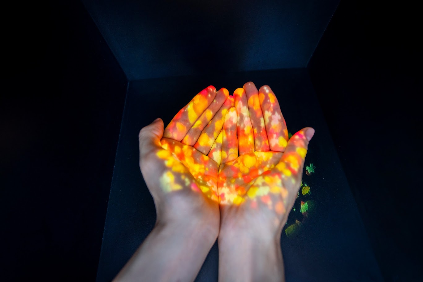 การฉายภาพ Projection Mapping 