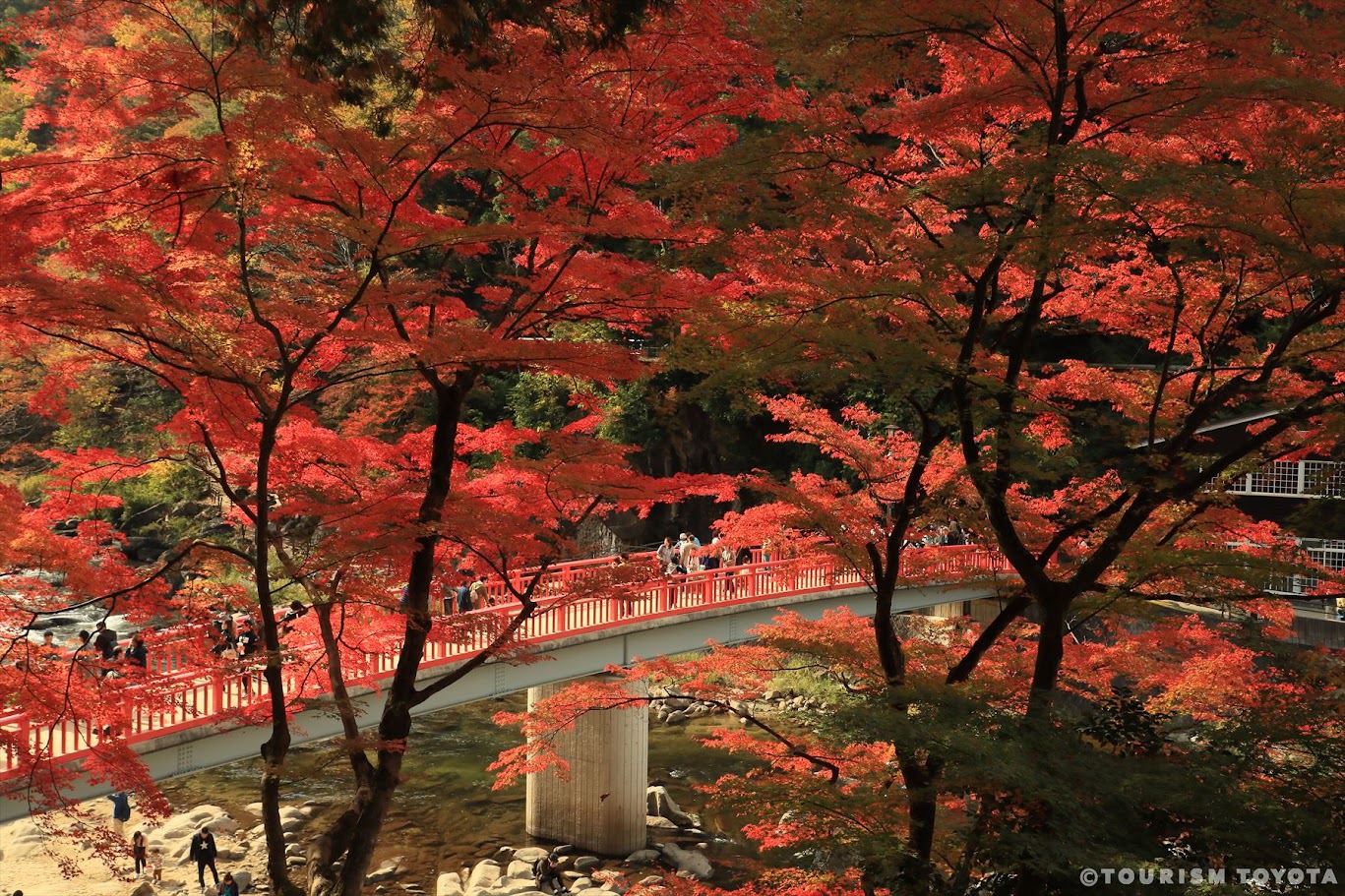 จุดชมใบไม้แดงชื่อดังอย่าง “หุบเขาโครังเค (Korankei Gorge)”