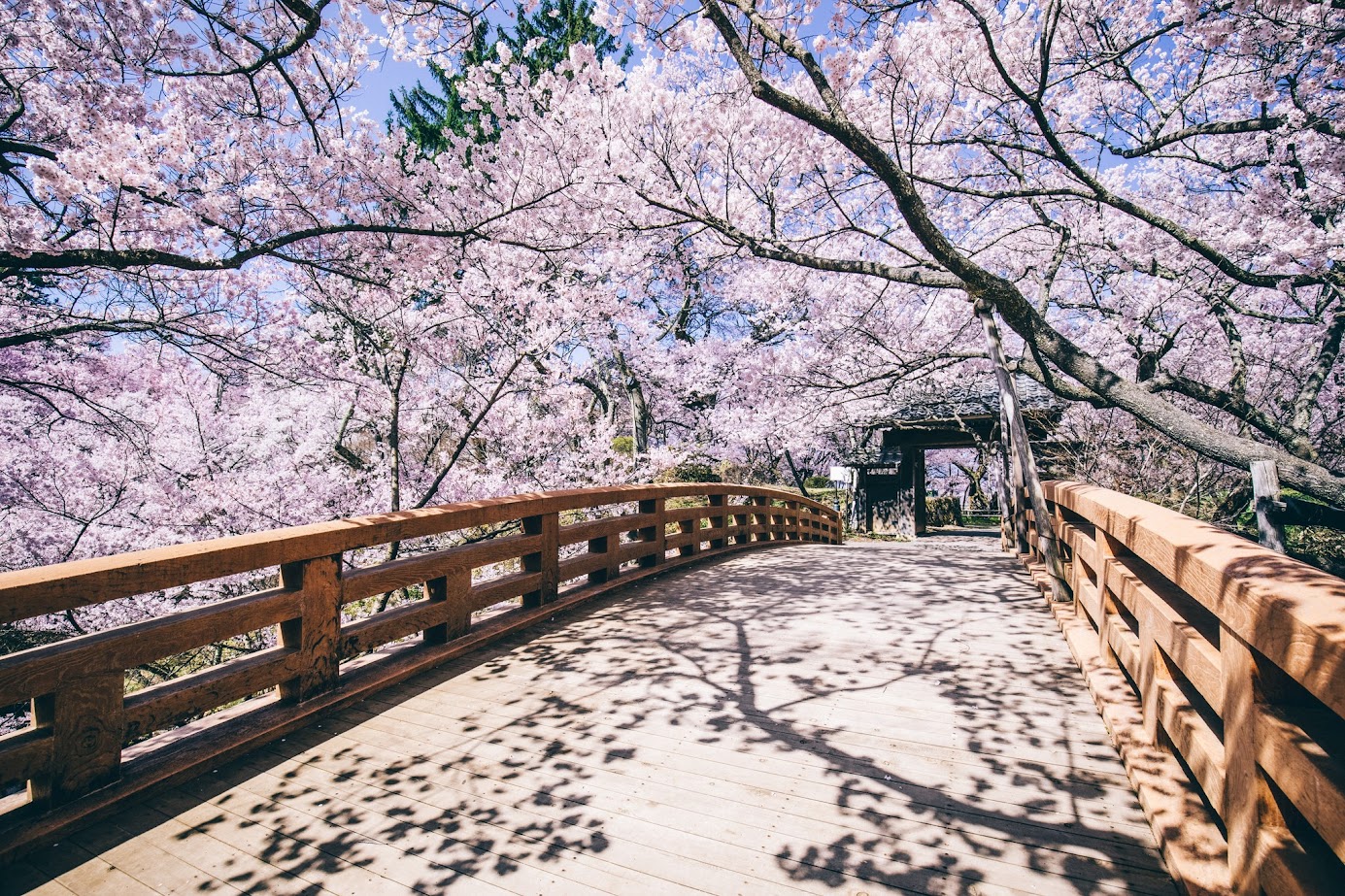 สวนปราสาททะคะโต ( Takato Castle Site Park )
