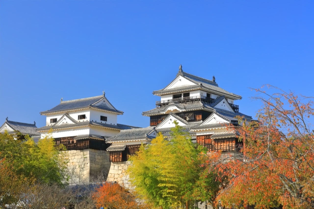 ปราสาทมัตสึยะมะ Matsuyama Castle จังหวัดเอฮิเมะ Ehime