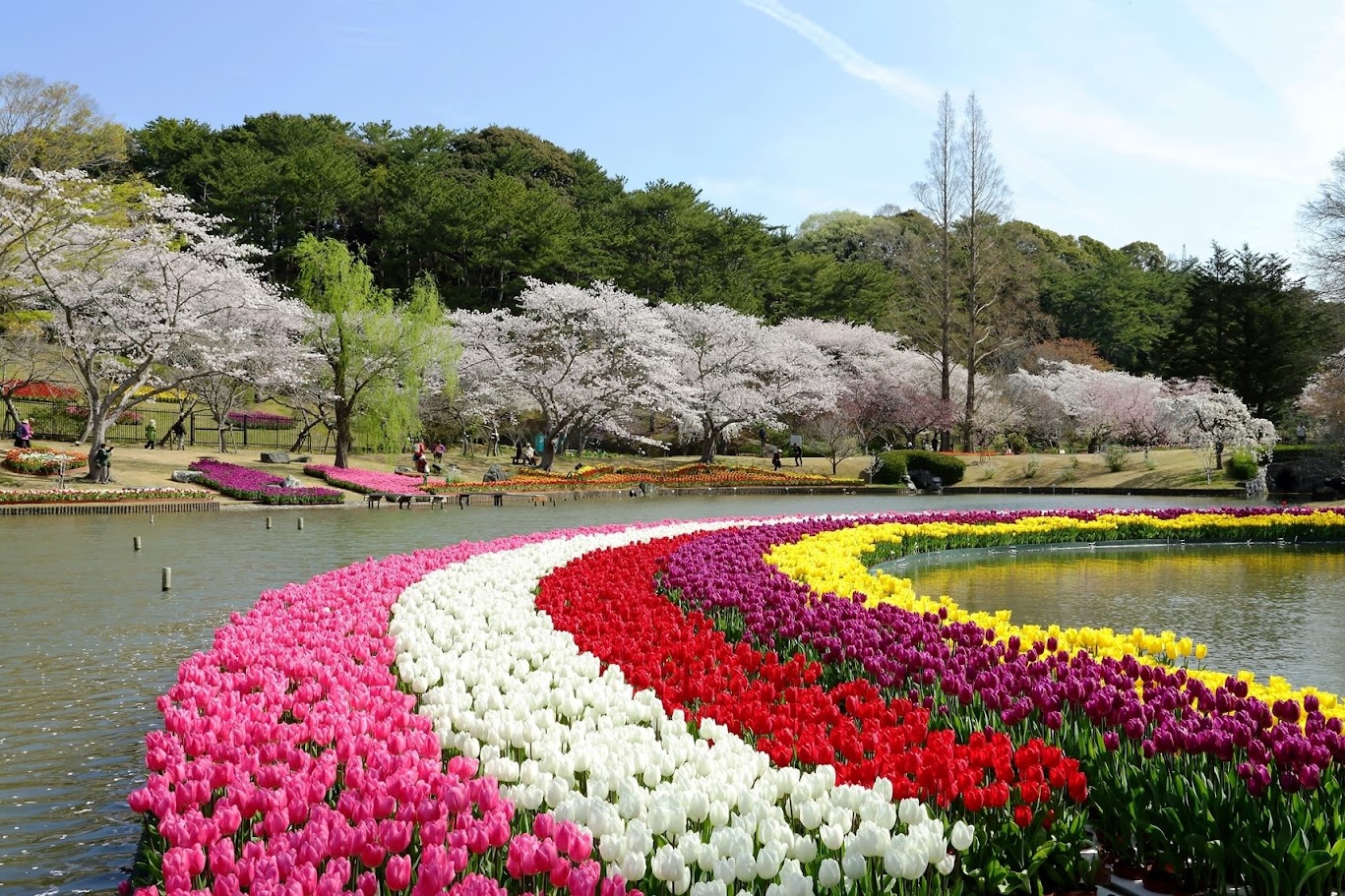 สวนดอกไม้ฮะมะมัตสึ - Hamamatsu Flower Park