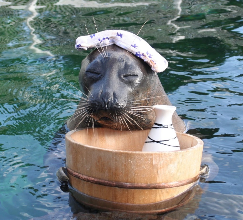 พิพิธภัณฑ์สัตว์น้ำ ฮาโกเนะเอ็น (Hakone-en Aquarium)