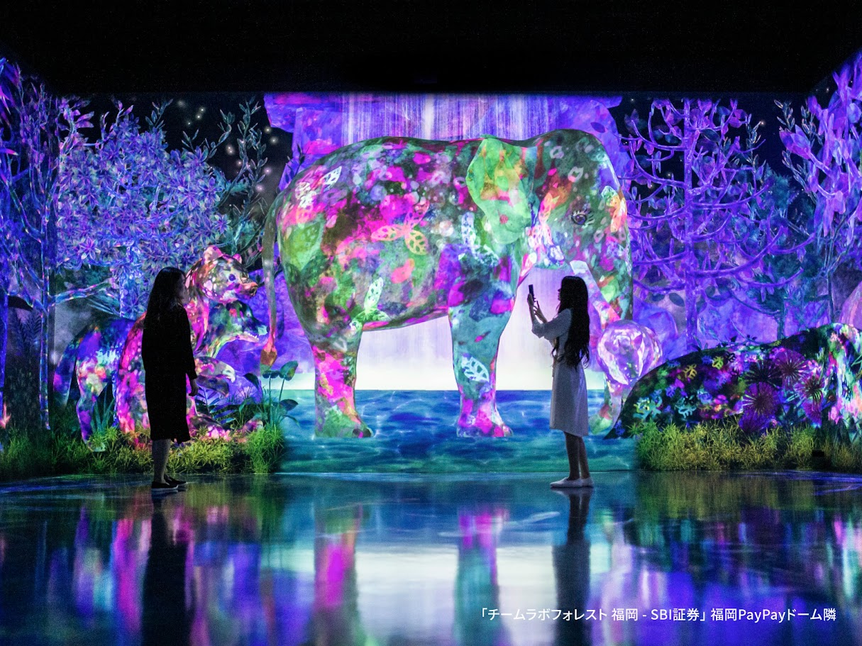  teamLab Forest พิพิธภัณฑ์ศิลปะดิจิทัล