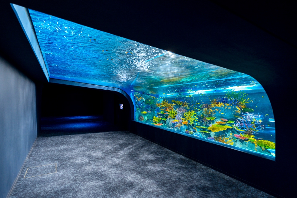 พิพิธภัณฑ์สัตว์น้ำ ดีเอ็มเอ็ม คาริยูชิ (DMM Kariyushi Aquarium)