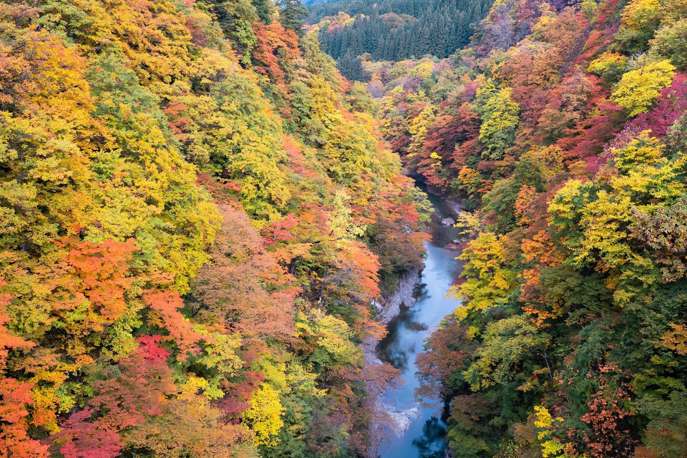 เข้าพักและแช่อนเซ็นผ่อนคลายที่ โอยะสุ อนเซ็น (Oyasu Onsen)