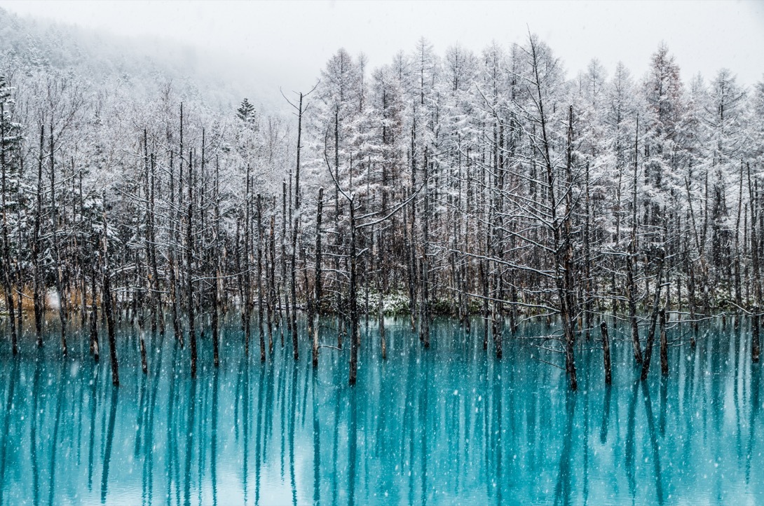 บึงน้ำสีฟ้าใส เป็นสถานที่ท่องเที่ยวชื่อดังของเมืองบิเอ (Biei) บนเกาะฮอกไกโด (Hokkaido)