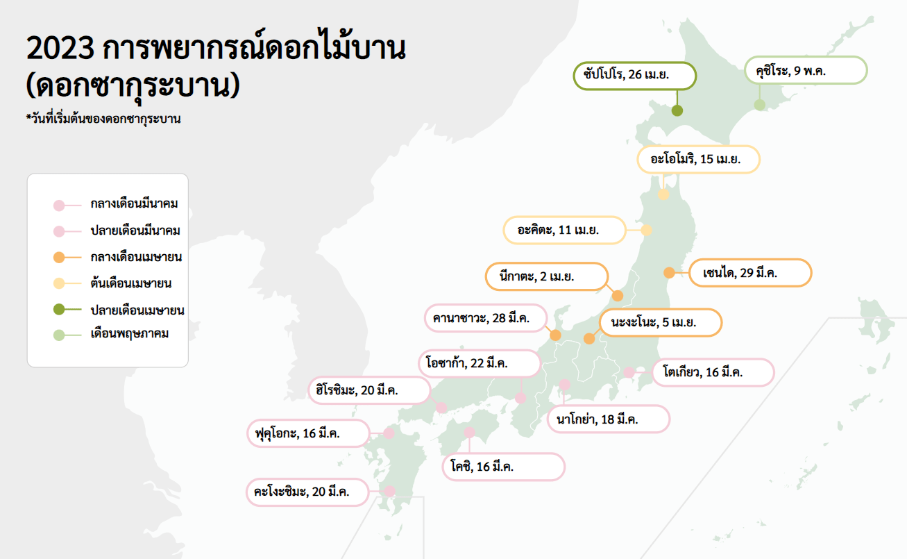 ซากุระญี่ปุ่น 2024 โดยอ้างอิงจากการพยากรณ์ซากุระ 2023