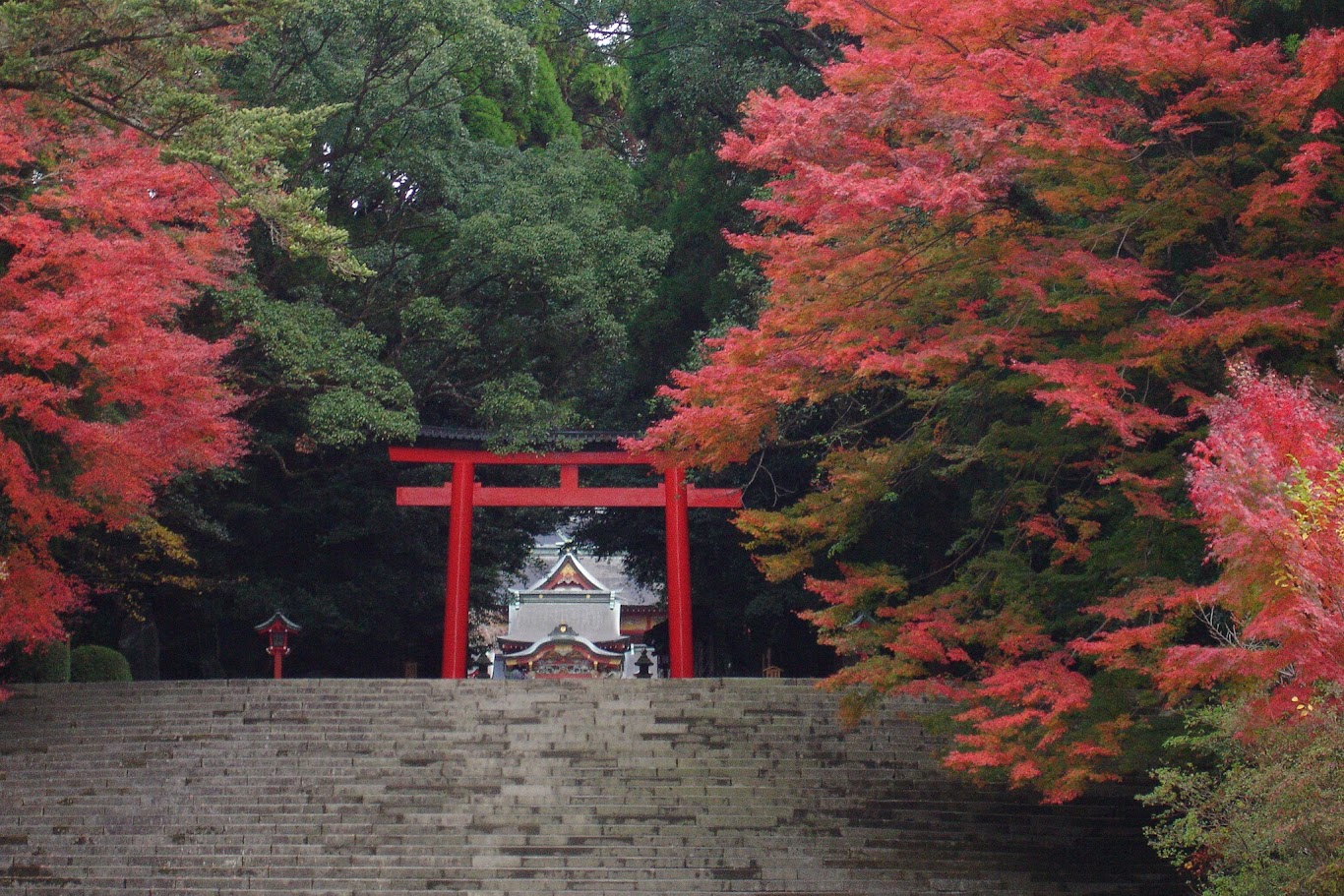 ศาลเจ้าคิริชิมะ จิงกู Kirishima Jingu Shrine