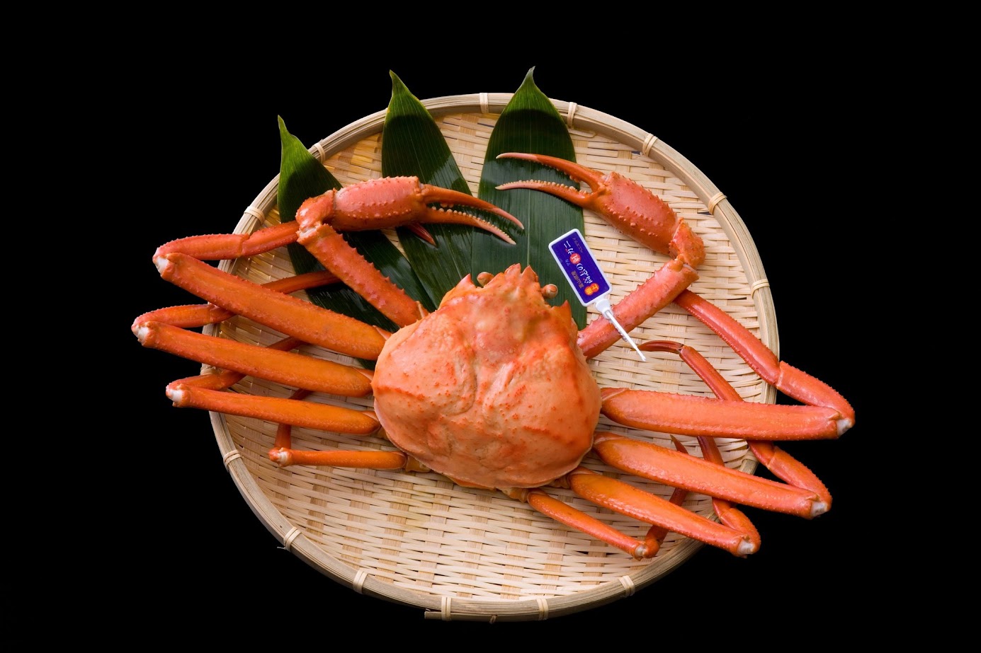 ปูเบนิสุไว (Benisuwai Kani)