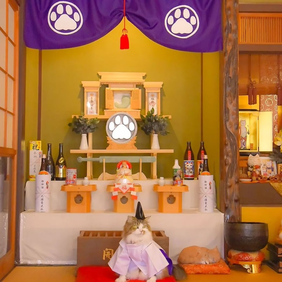 วัดญี่ปุ่น โดดเด่นด้วยเทวรูปแมว Dainichi Nekorai ตั้งตระหง่านรอต้อนรับทุกคน
