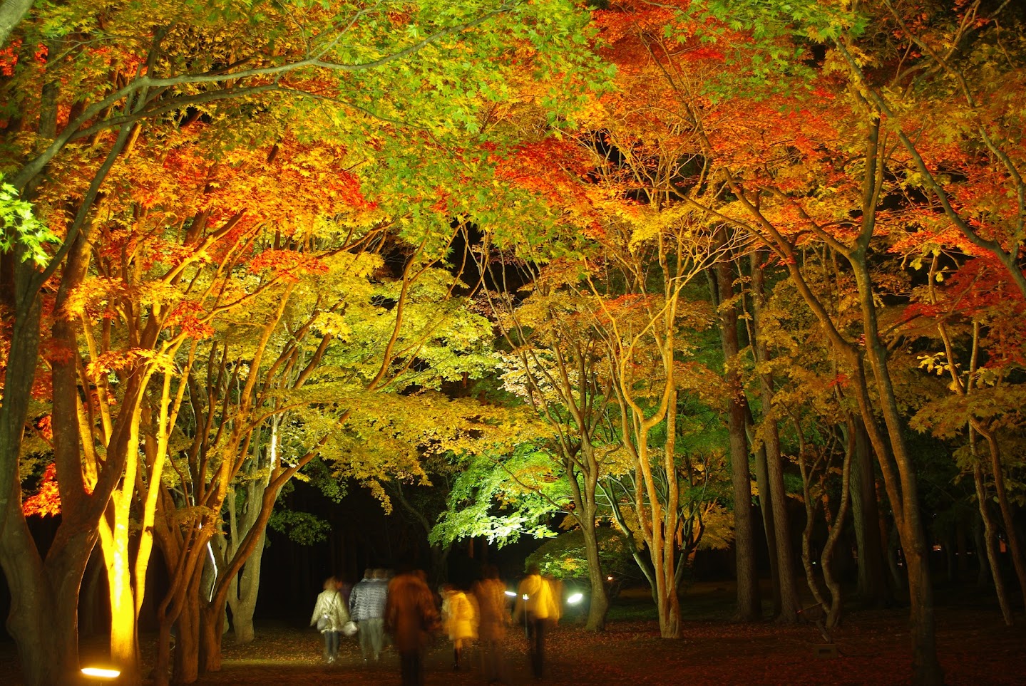 สวนสาธารณะมิฮะระชิ (Miharashi Park) หรือสวนโคเซ็ตสึเอ็น (Kosetsu-en) 