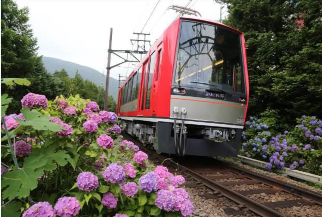 รถไฟสายไฮเดรนเยีย (Ajisai Train)