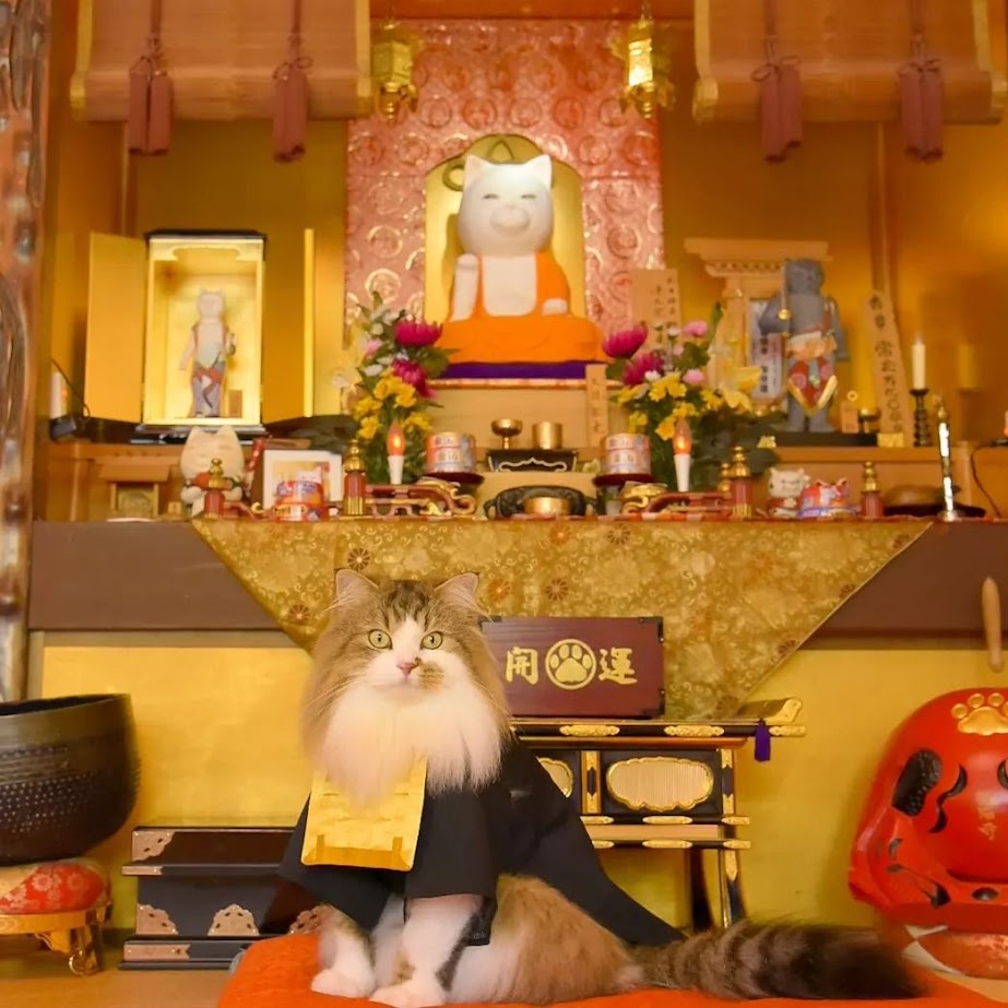 วัดเนียงเนียงจิ (Nyannyan-ji Temple)