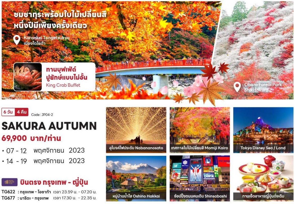 ทัวร์ญี่ปุ่น ชมซากุระ ใบไม้เปลี่ยนสี ปีมีครั้งเดียว อุโมงค์ไฟ หมู่บ้านน้ำใส ช้อปปิ้งจุใจ เซ็ทอาหารญี่ปุ่น ขาปูยักษ์ พักออนเซ็น บินตรงการบินไทย