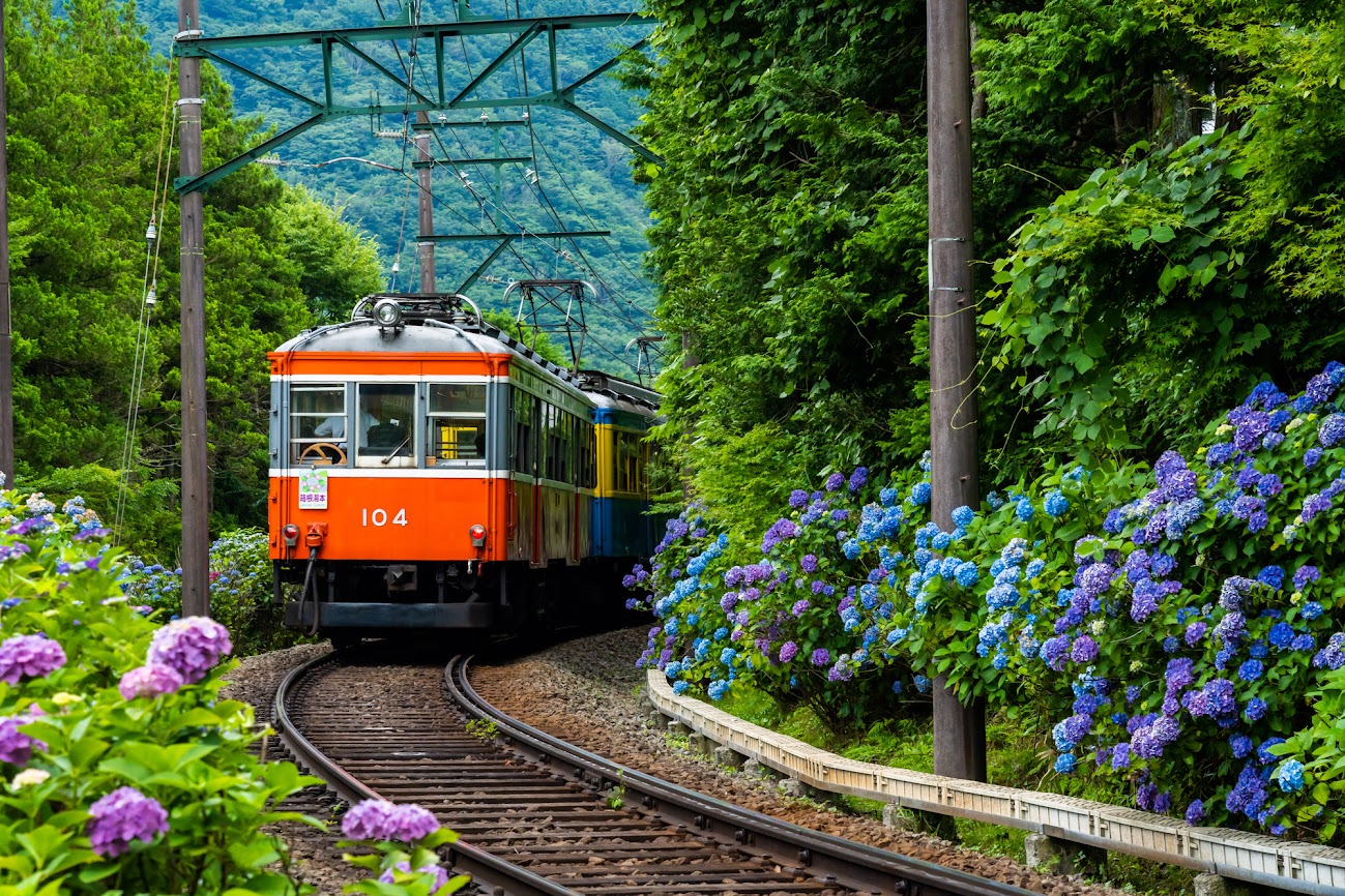 รถไฟสายฮาโกเนะโทะซัง (Hakone Tozan Train)