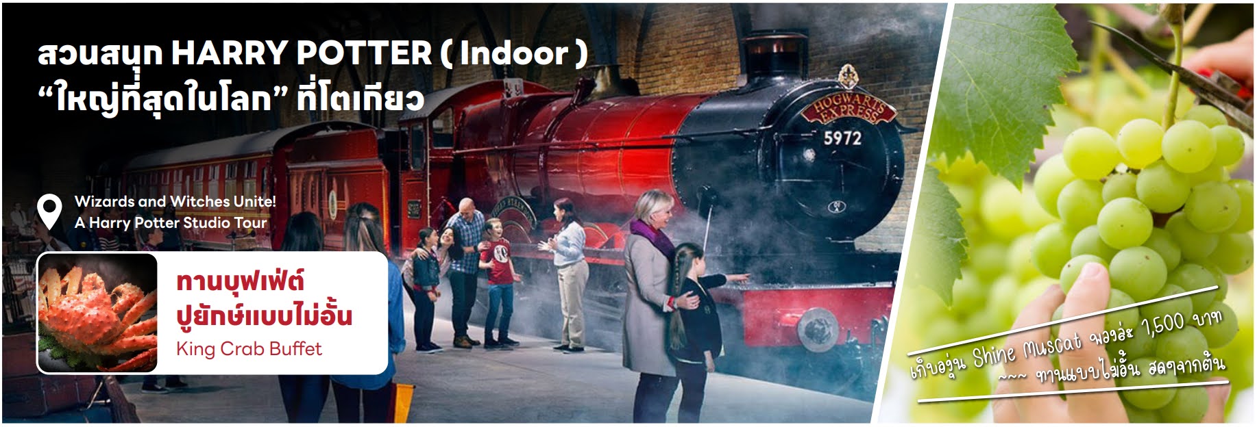 Wizards and Witches Unite! A Harry Potter Studio Tour สวนสนุก แฮรี่พอตเตอร์ ที่ใหญ่ที่สุึดในโลก ที่โตเกียว 