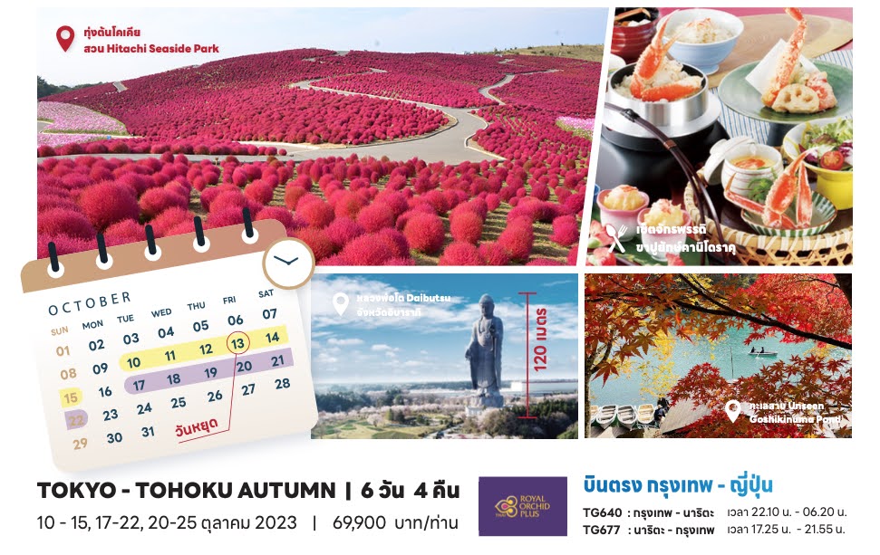 เที่ยวตรงวันหยุด ชมทุ่งดอกโคเคีย สวน Hitashi Seaside Park เซ็ทจักรพรรดิขาปูยักษ์คานิโดราคุ หลวงพ่อโต Daibutsu ทะเลสาบ Goshikinuma บินตรงการบินไทย กรุงเทพ - ญี่ปุ่น 