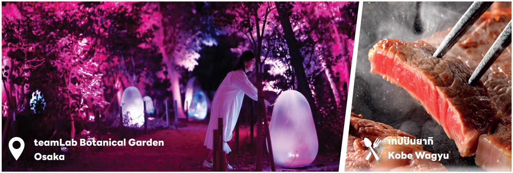 เพลิดเพลินที่ TeamLab นั่งกระเช้าชมเมืองโกเบ พิพิธภัณท์สาเกฮาคุซึรุ และไคยูคัง อาหารทะเลสดๆที่ตลาดปลาคุโรมง ช้อปชินไซบาชิ เท็มโปซาน อิสระเที่ยวUSJ เนื้อโกเบปันยากิ พัก4ดาว บินตรงการบินไทย 
