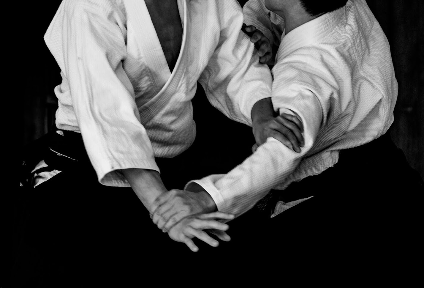 Martial Arts ศิลปะการต่อสู้