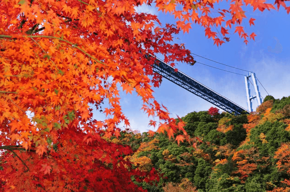 Autumn Ryujin Big Suspension Bridge