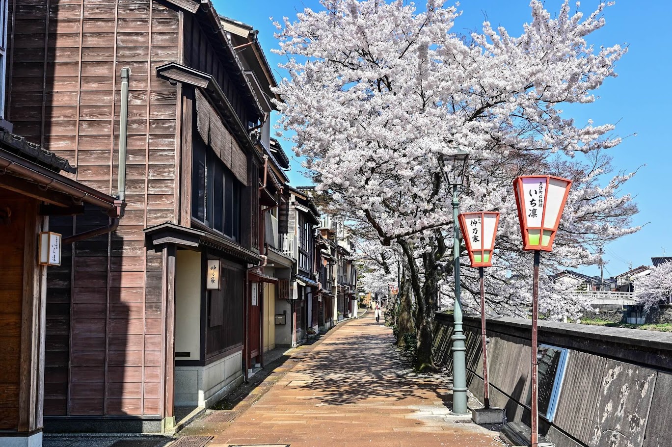 SAKURA