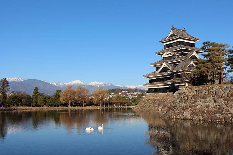 "ภาพถ่ายทัศนียภาพอันงดงามของปราสาทมัตสึโมโต้ (Matsumoto Castle) ที่สะท้อนเงาบนผิวน้ำในคูเมือง พร้อมด้วยหงส์คู่ที่แหวกว่ายอย่างเงียบสงบ โดยมีเทือกเขาเจแปนแอลป์ (Japan Alps) ที่ปกคลุมด้วยหิมะเป็นฉากหลัง เป็นจุดแวะพักที่ไม่ควรพลาดสำหรับผู้ที่ ขับรถเที่ยว japan alps ด้วยรถเช่าญี่ปุ่น ในช่วงฤดูใบไม้ร่วง"