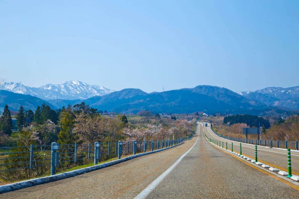 "ภาพจากมุมมองหน้ารถขณะกำลัง ขับรถเที่ยว japan alps ด้วยรถเช่าญี่ปุ่น บนถนนสายยาวที่มุ่งหน้าสู่เทือกเขาแอลป์ญี่ปุ่นซึ่งมีหิมะปกคลุมยอดเขา สองข้างทางประดับด้วยต้นซากุระที่กำลังผลิบานภายใต้ท้องฟ้าสีครามสดใสในฤดูใบไม้ผลิ"