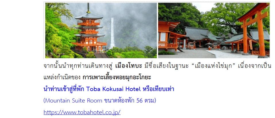 Tour itinerary details