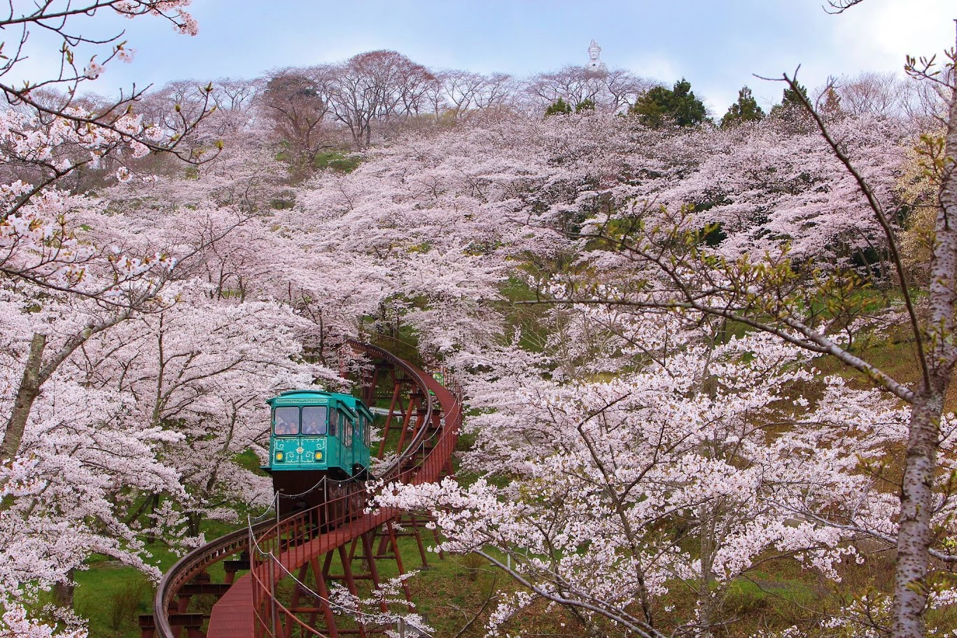 Slope Car With sakura Funaoka Castle Ruins Park