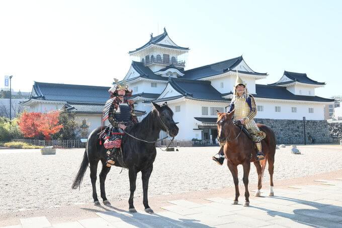 Toyama Castle