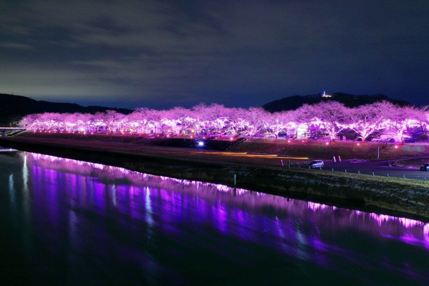 (Ogawara Cherry Blossom Festival