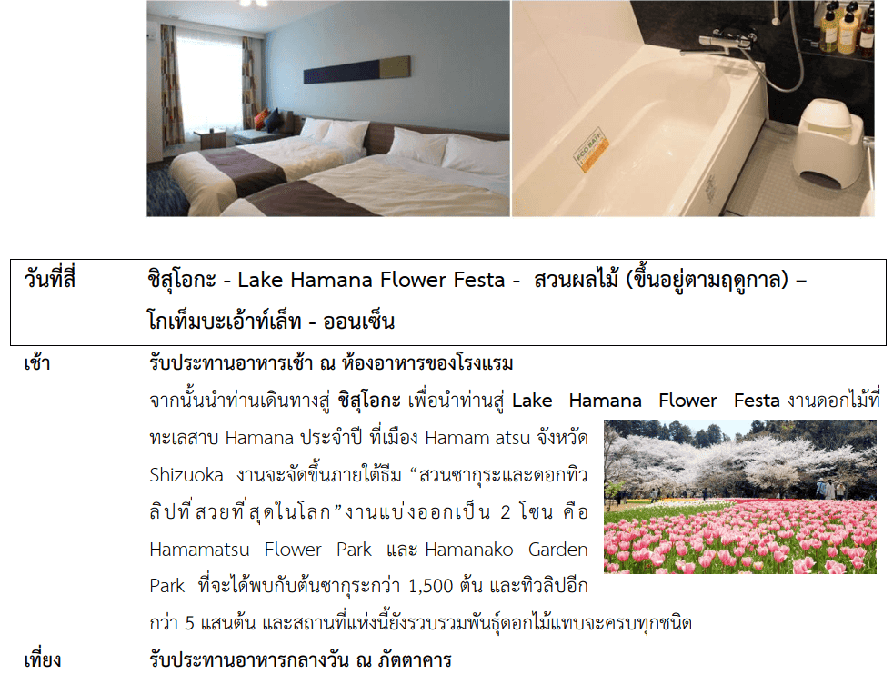 tour itinerary details
