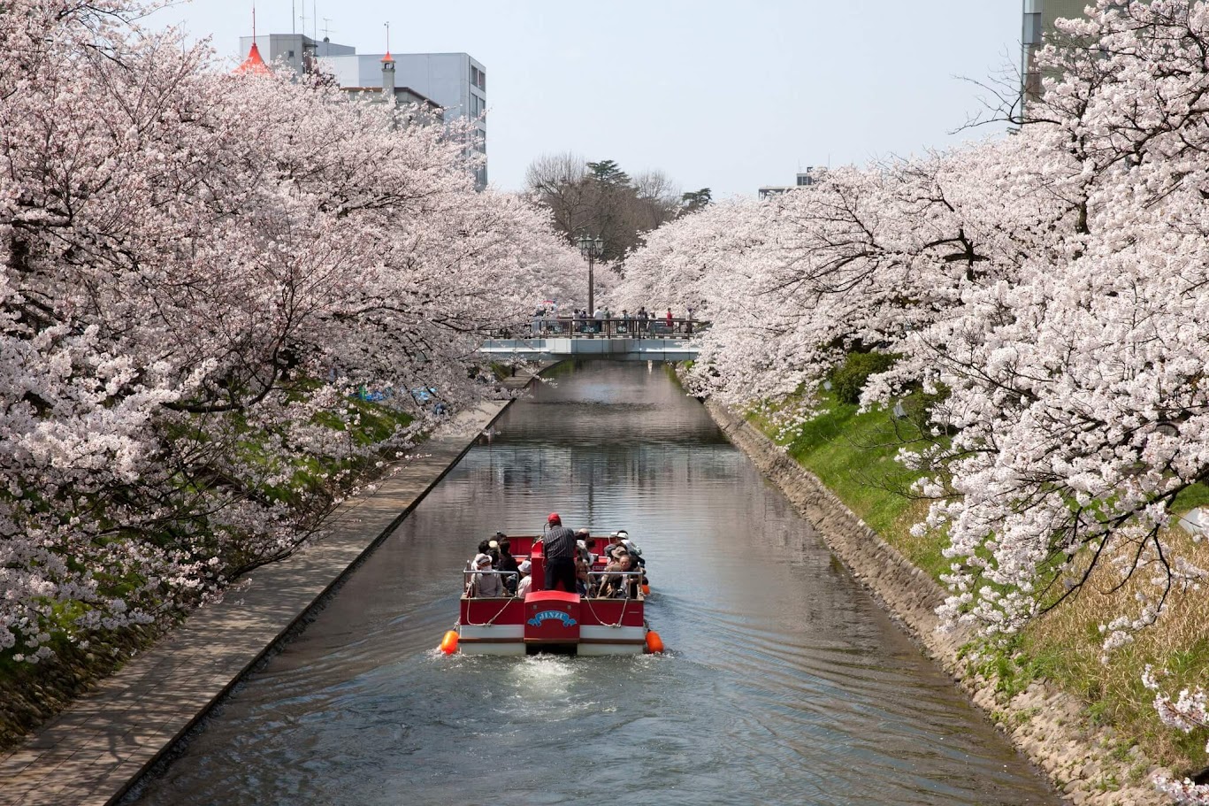 Matsukawa Pleasure Boat