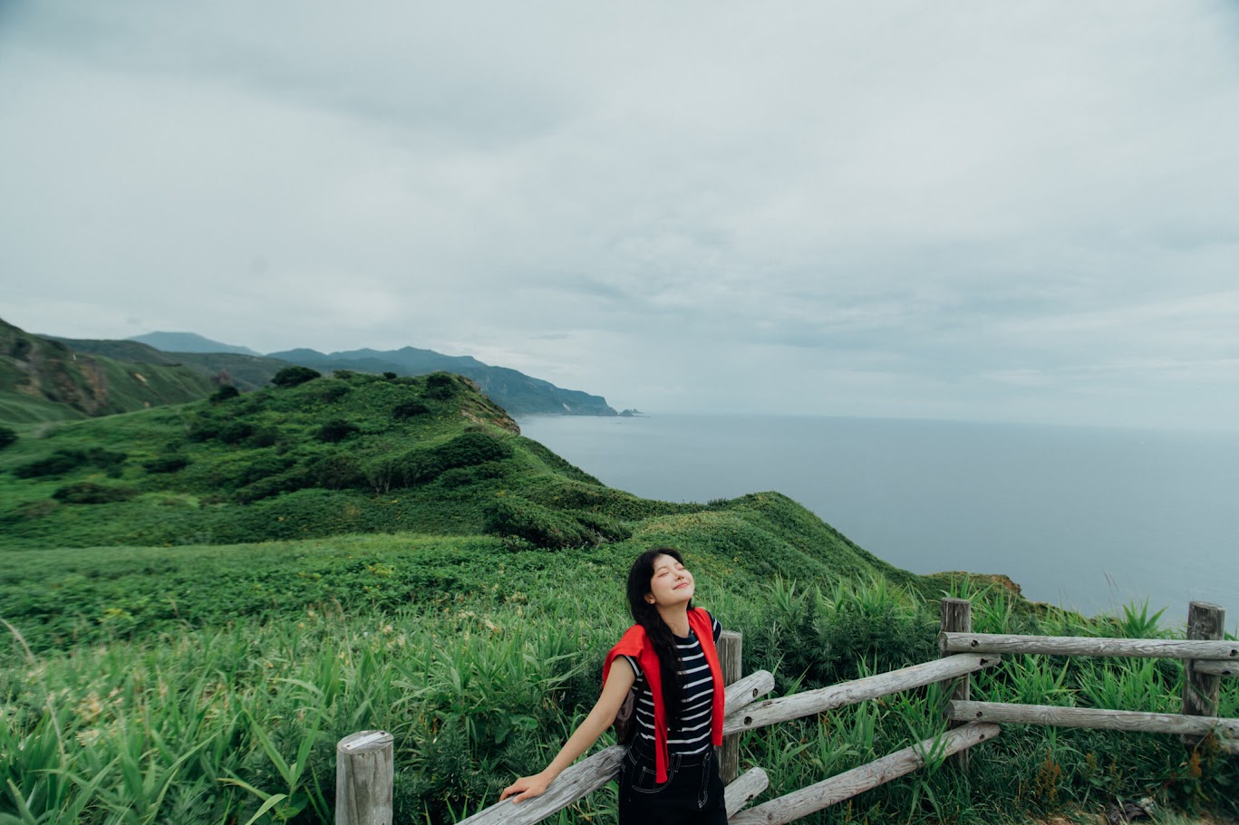 VIBE RELAX PANORAMA