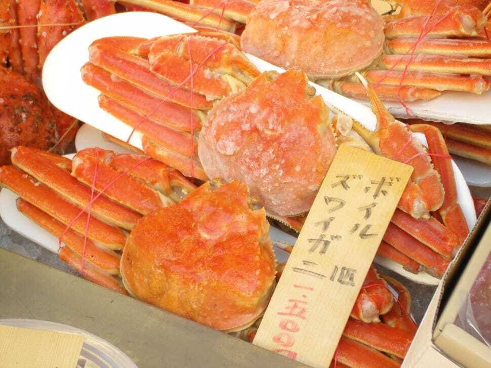 แนะนำของกินโอซาก้า ปูหิมะญี่ปุ่นหรือซูไวกานิสดจากทะเล วางขายในตลาดอาหารทะเลญี่ปุ่น ขึ้นชื่อเรื่องเนื้อหวานแน่นและเป็นหนึ่งในเมนูซีฟู้ดยอดนิยมที่ไม่ควรพลาดเมื่อมาเยือนญี่ปุ่น