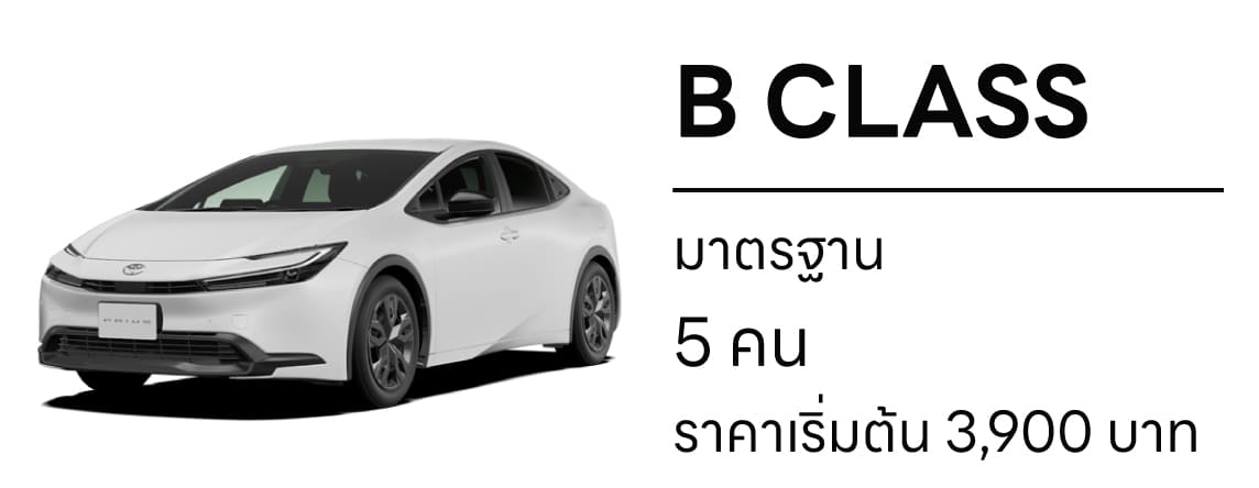 STANDARD MODEL
