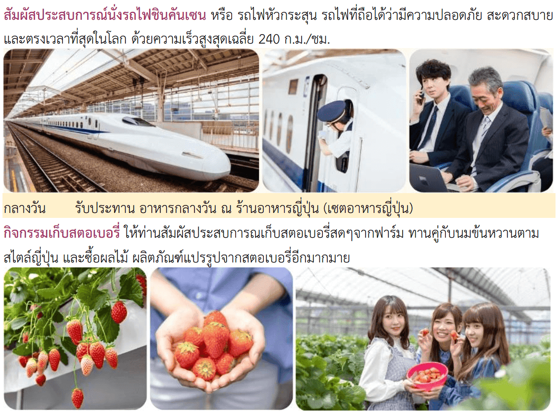 itinerary detail