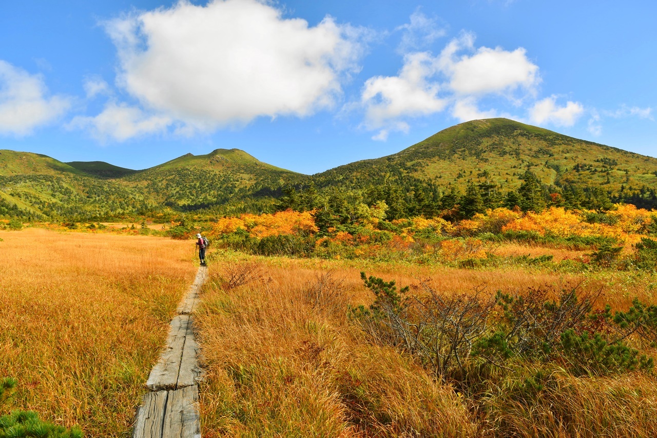 八甲田山 広大な湿原歩きと紅葉登山 （酸ヶ湯温泉ルート） │ 今日という日を忘れずに