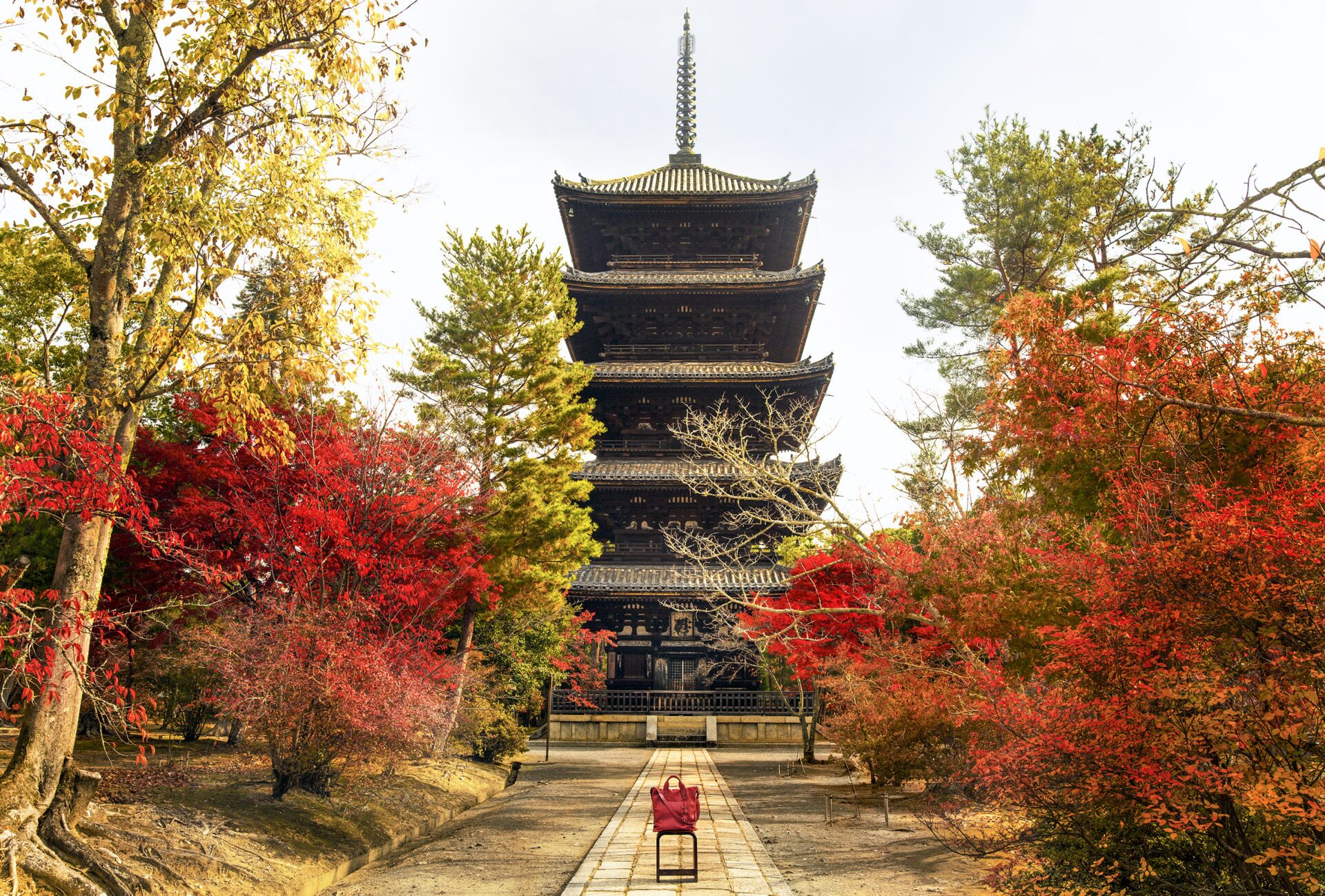 京都の紅葉を見る穴場としてイチオシの仁和寺。その仁和寺の紅葉見頃や見所などをご紹介します。 | caedeKyoto[カエデ京都] 紅葉と伝統美を引き継ぐバッグ