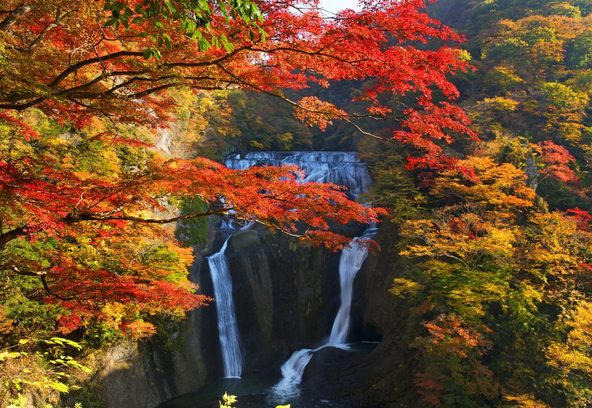 袋田の滝紅葉 | GANREF