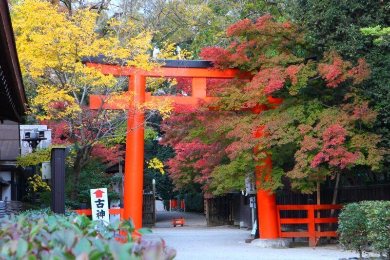 下鴨神社の紅葉2022見頃時期やライトアップは？アクセスや駐車場は？ | そらいろ～日本が魅せる多彩な表情～