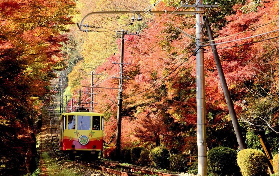 高尾山紅葉2022年の見ごろやお得な切符・裏ワザを徹底ガイド！ - たびハピ