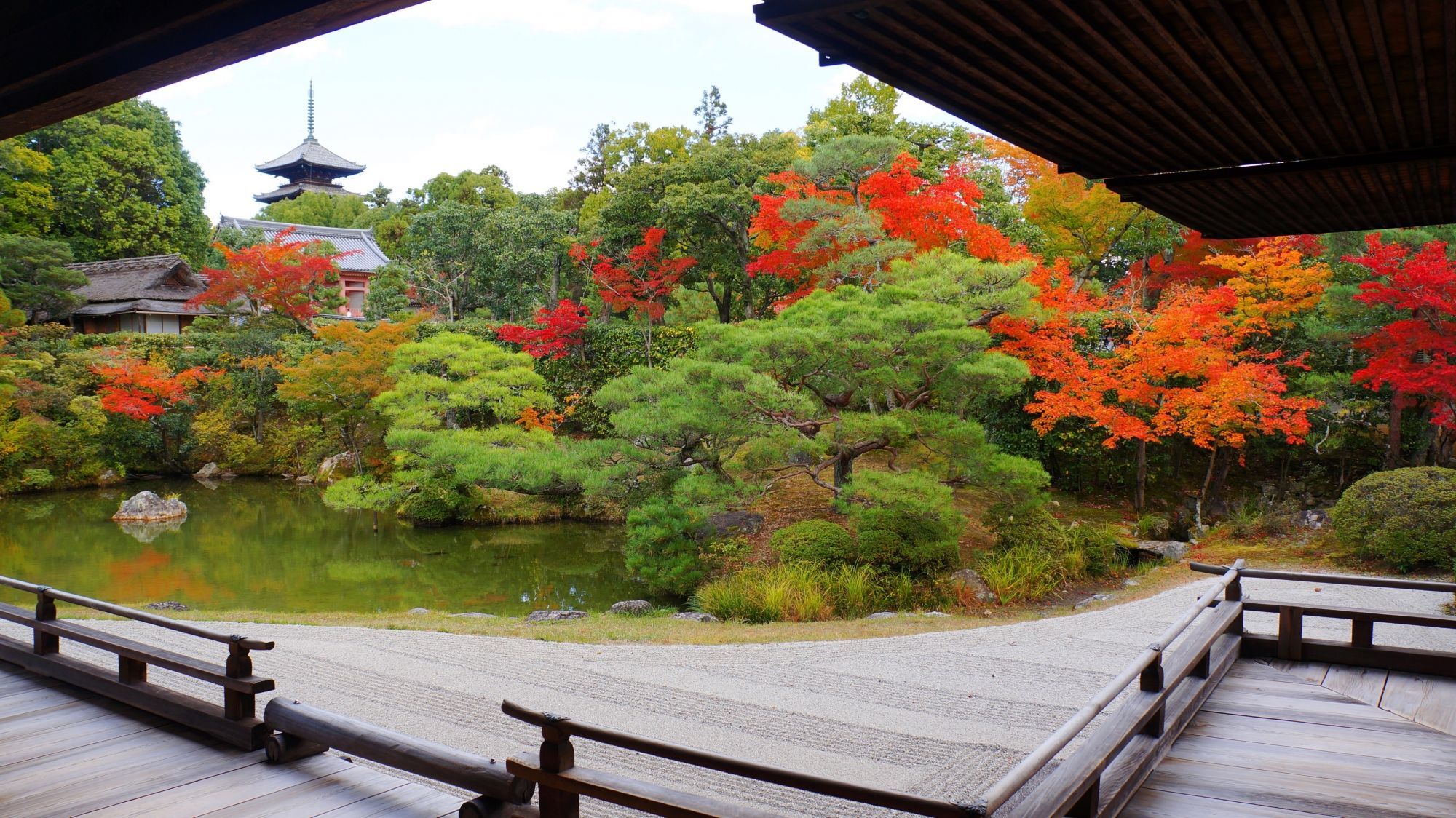 仁和寺 紅葉 御殿と庭園を彩る優美なもみじ | 仁和寺, 日本庭園, 紅葉 風景
