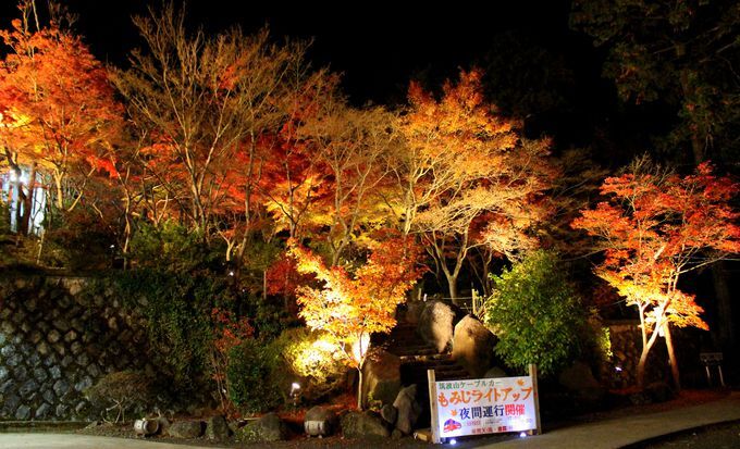 茨城のパワースポット「筑波山」紅葉は夜がお勧め！ | 茨城県 | トラベルjp 旅行ガイド