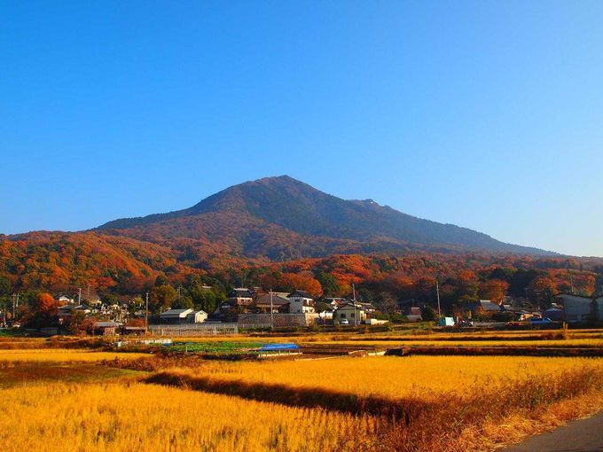 歩いて発見！！日本の道100選「つくば道」を歩く | 茨城県 | トラベルjp 旅行ガイド