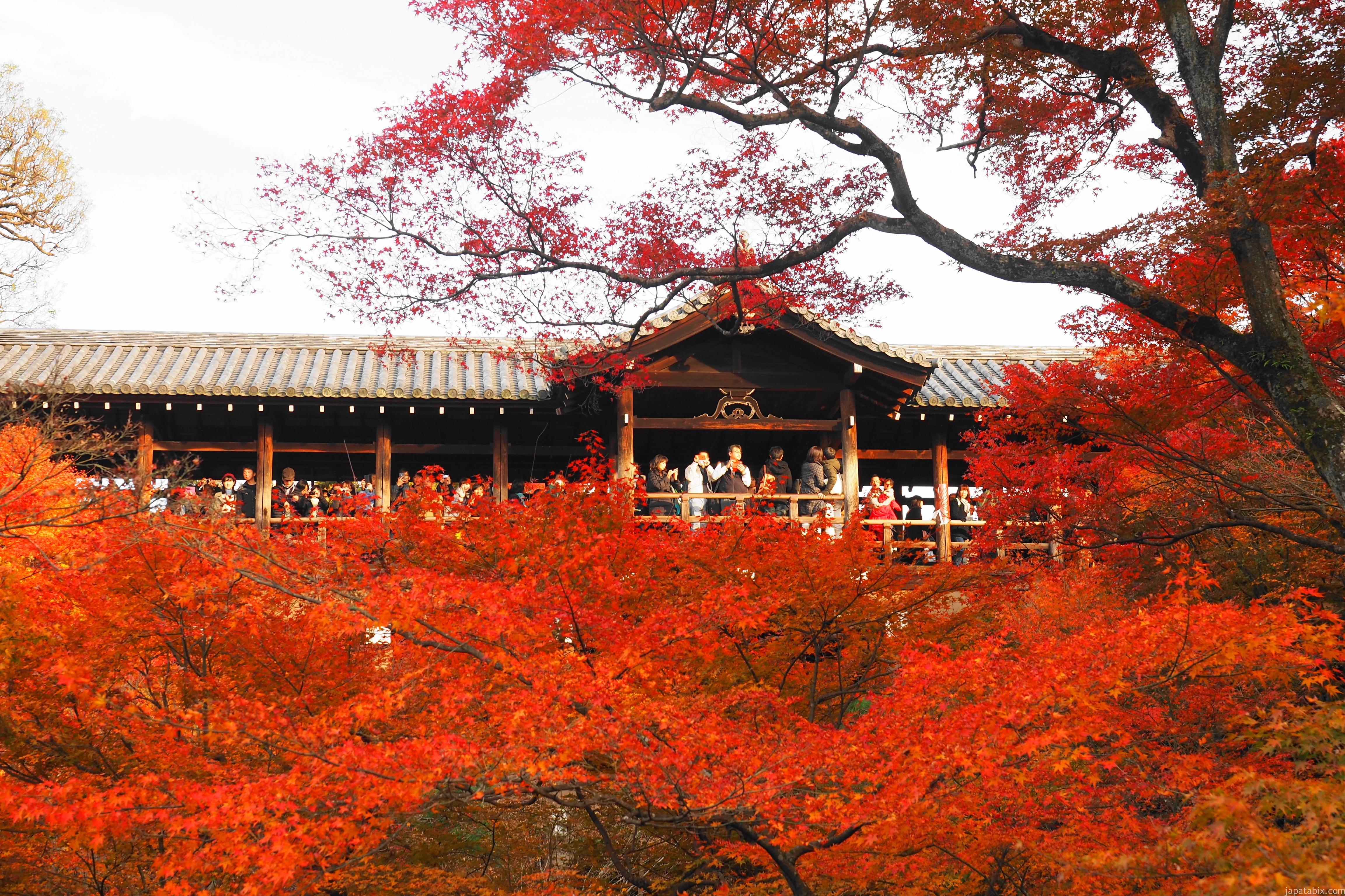 京都 東福寺の紅葉2022年版】混雑状況は？見どころは通天橋から見る洗玉澗の紅葉！