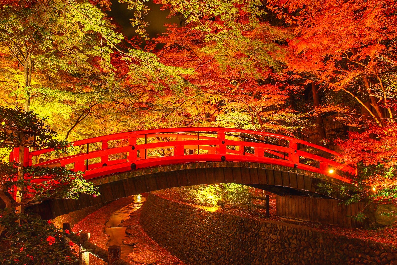 北野天満宮の紅葉2022の見頃とライトアップは？混雑や駐車場も | ツクの世界