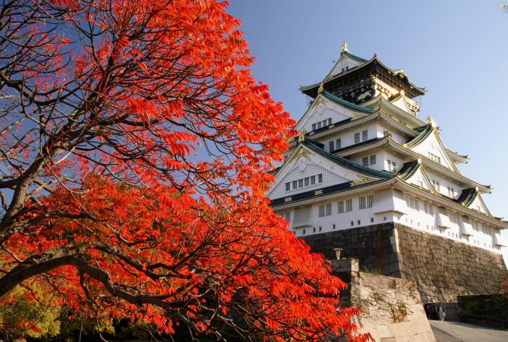 大阪市内の紅葉スポット【大阪城公園】|みつわ屋